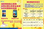 保姆宣传单