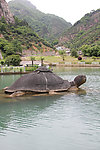 大小乌龟