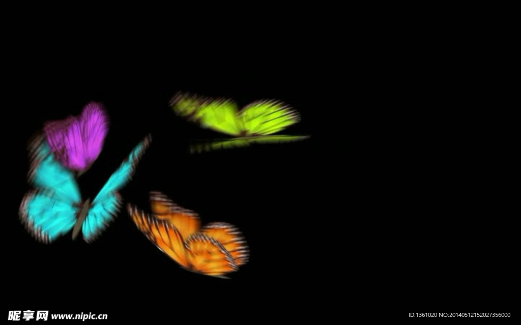 彩色蝴蝶视频素材