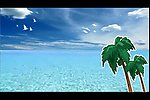 卡通大海椰树视频素材