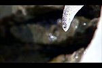 冰雪融化水滴视频素材