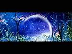 花草湖水星光视频素材