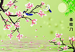 玉兰花