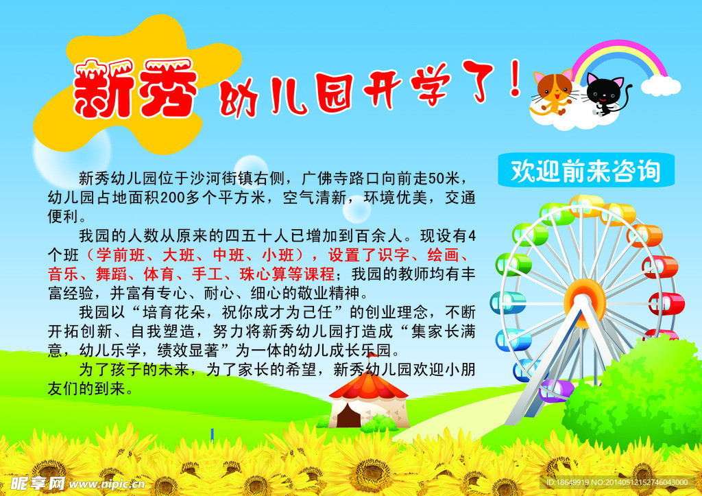 蓝天白云树 菊花