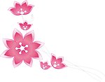 红色 梦幻 花藤