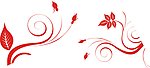 红色 花纹