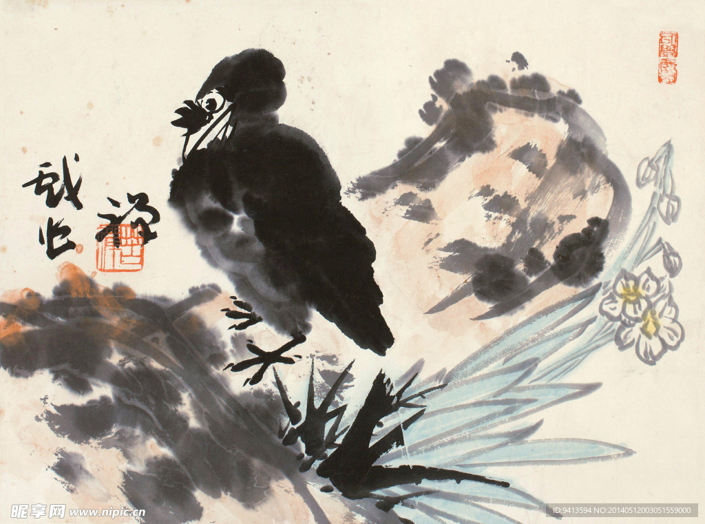 水仙八哥