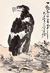 老鹰