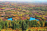 额尔古纳湿地公园秋景