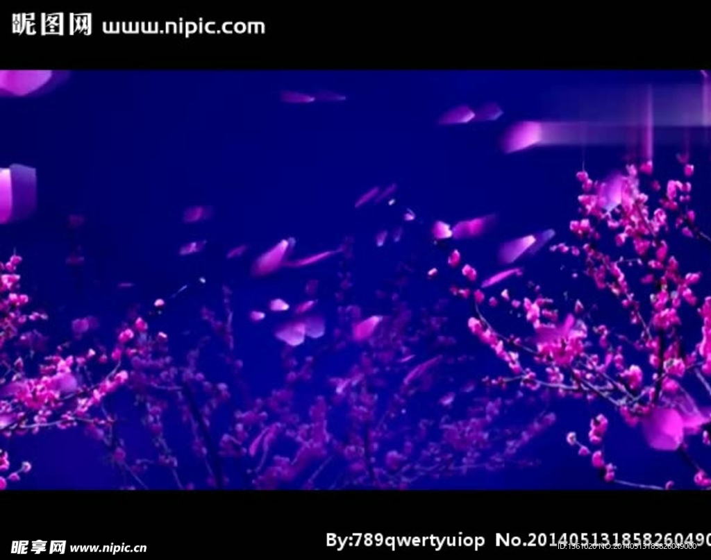 花朵花瓣舞台背景视频