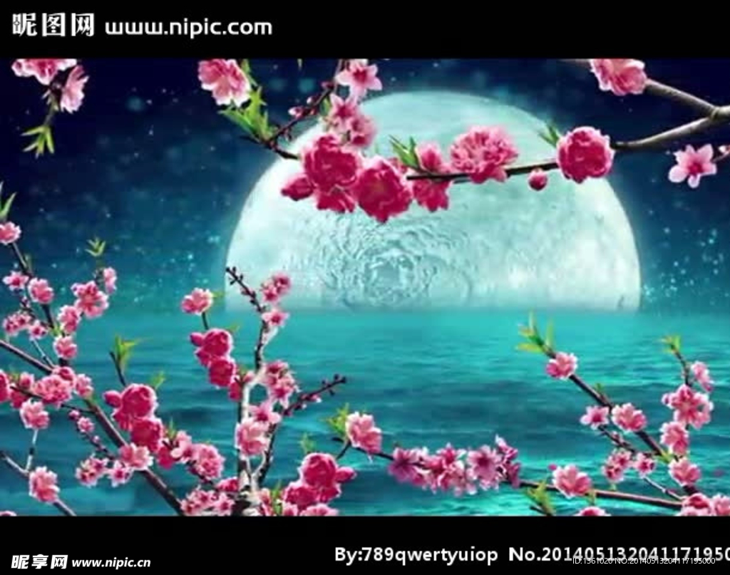 梅花月亮湖水视频素材