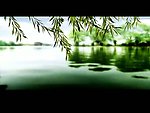 公园湖水垂柳视频素材