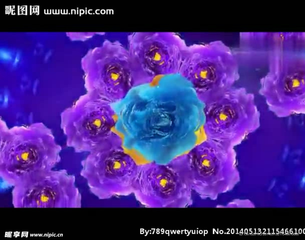 紫色牡丹花视频素材