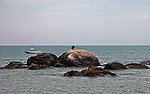 南海风情