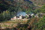 乡村风景