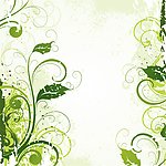 植物花纹