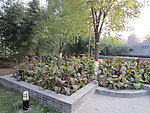 社区园林景观