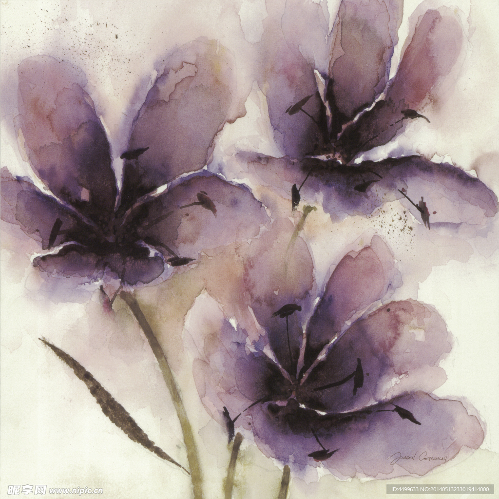 鲜花绘画
