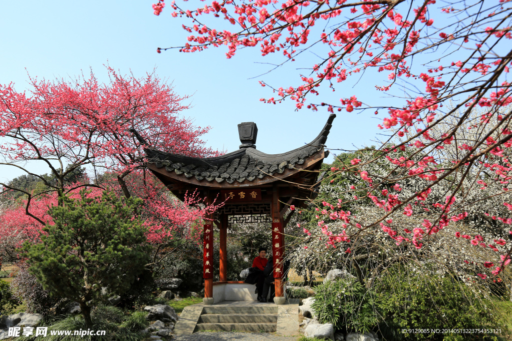 杭州植物园