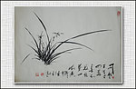 青石国画兰花
