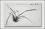 青石国画兰花