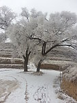 雪景