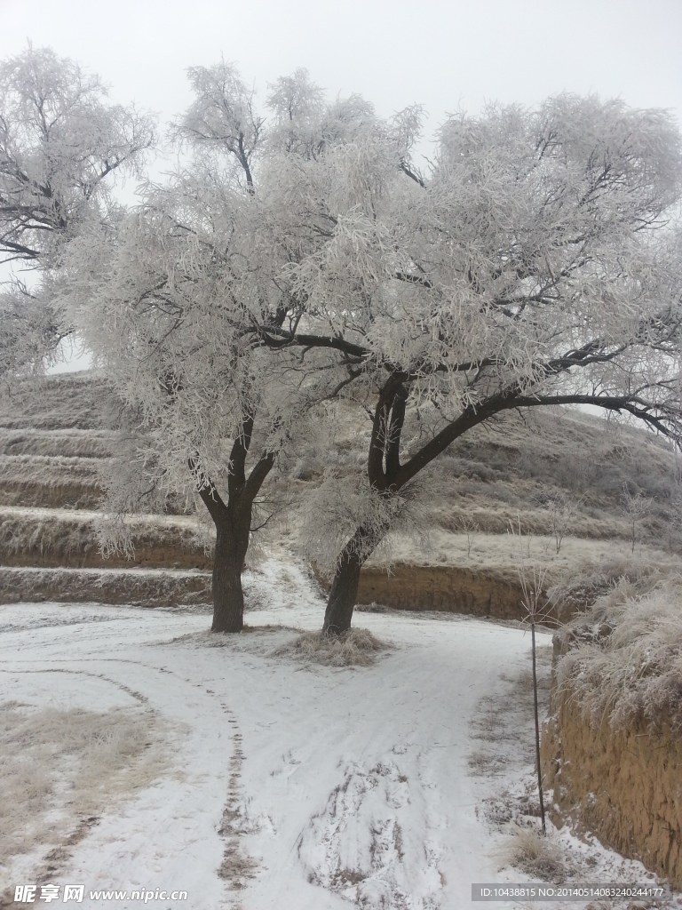 雪景