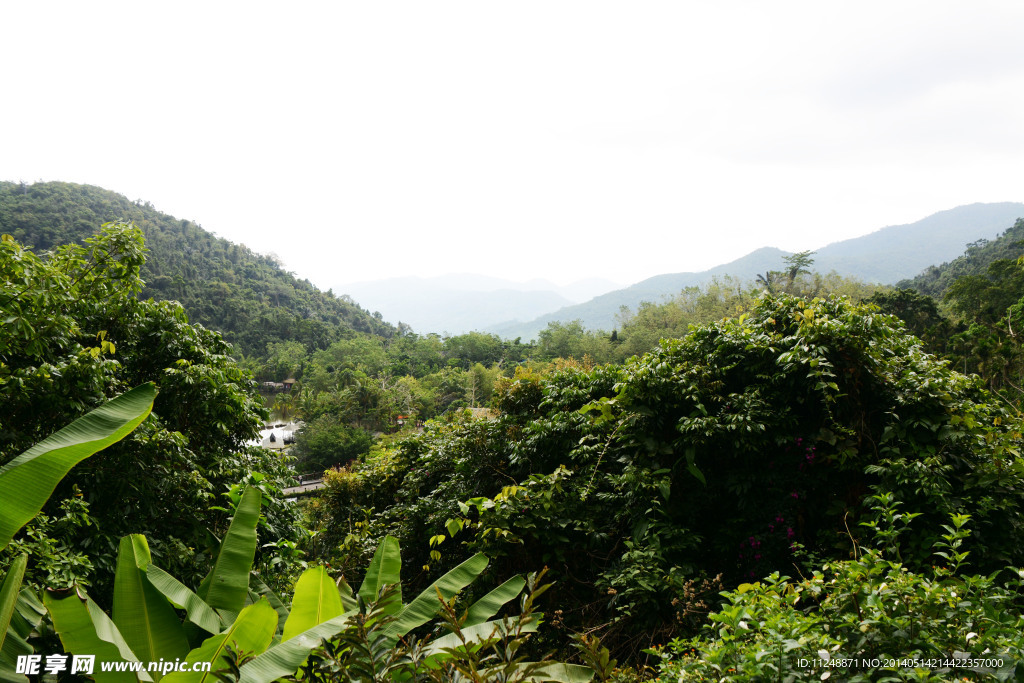 翠绿山峦