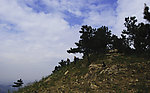 山景
