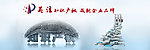 知识产权banner