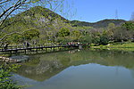 杭州八卦田风景