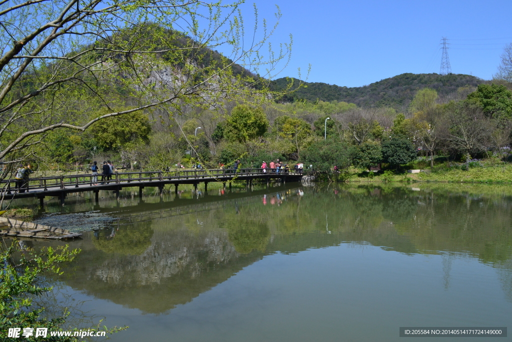 杭州八卦田风景