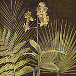 植物画