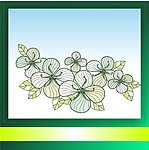 花纹