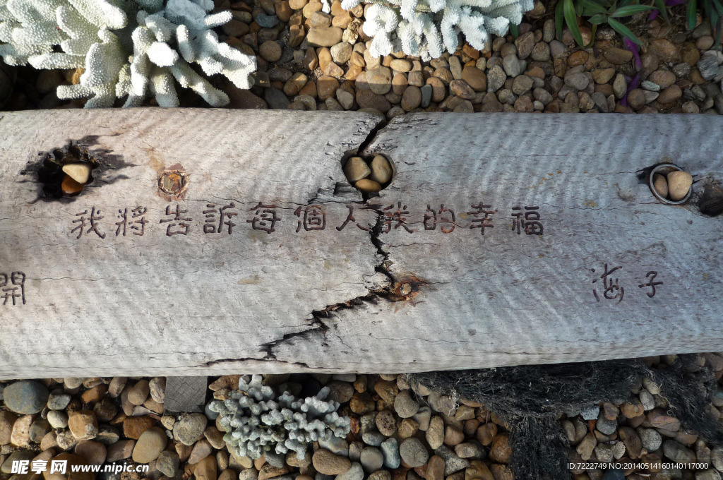 老船木