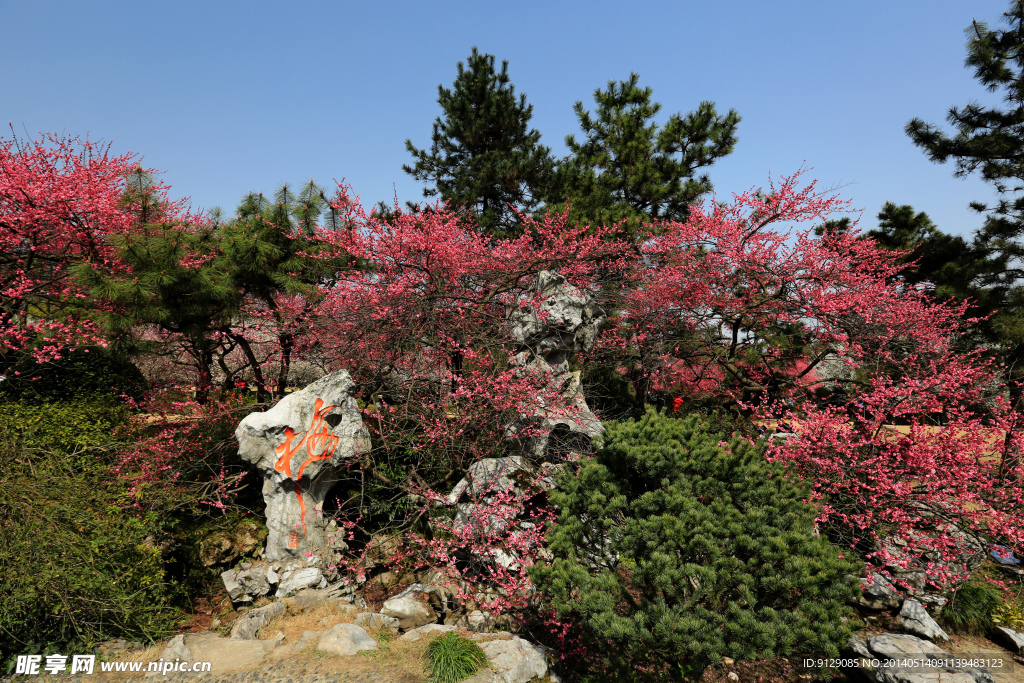 杭州植物园