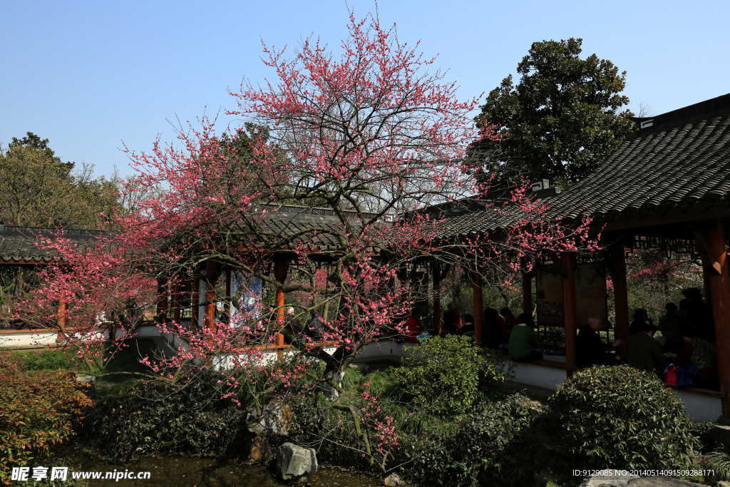 杭州植物园