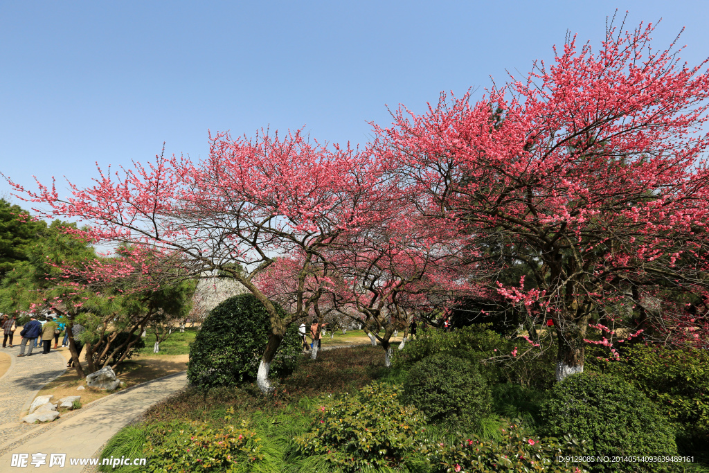 杭州植物园