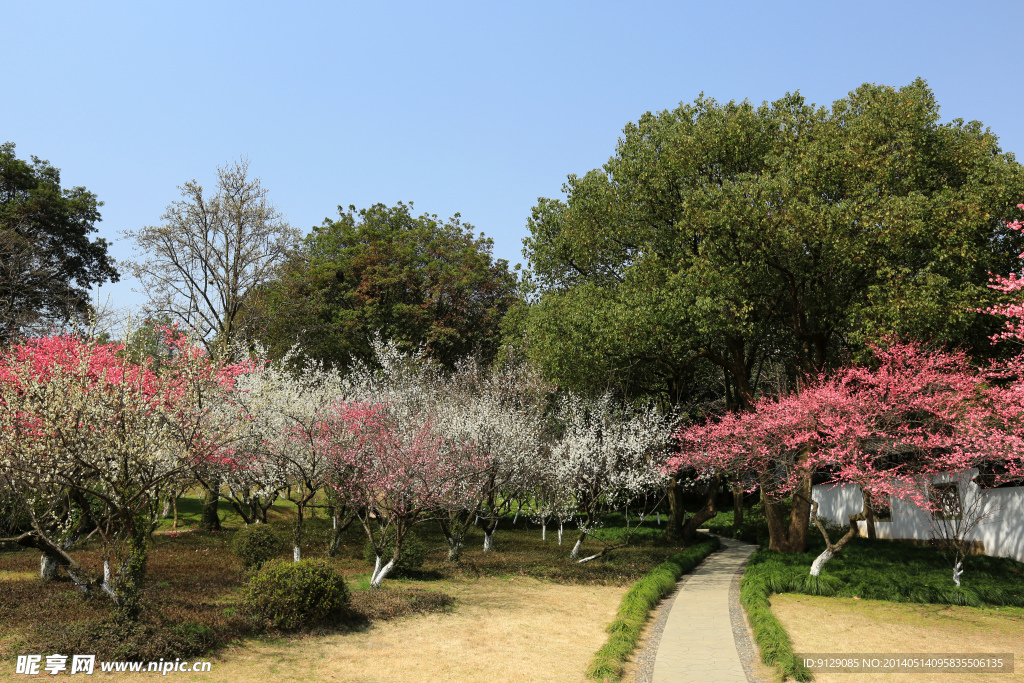 杭州植物园