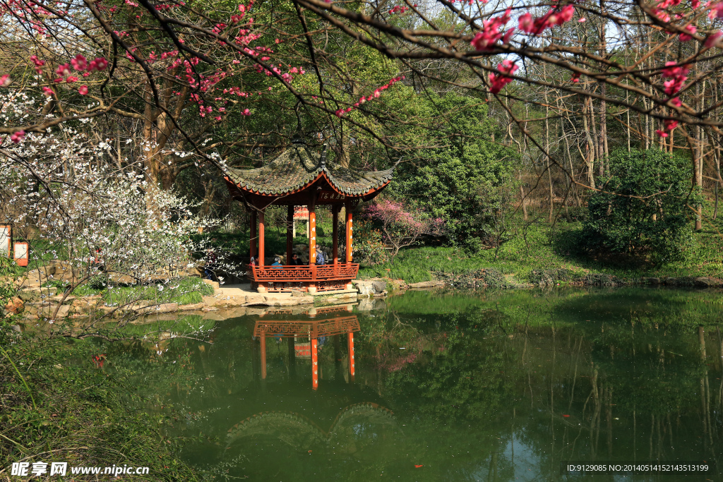 杭州植物园