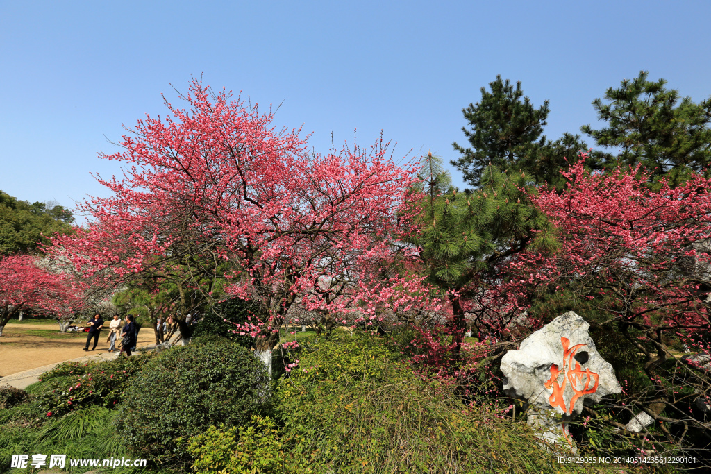 杭州植物园