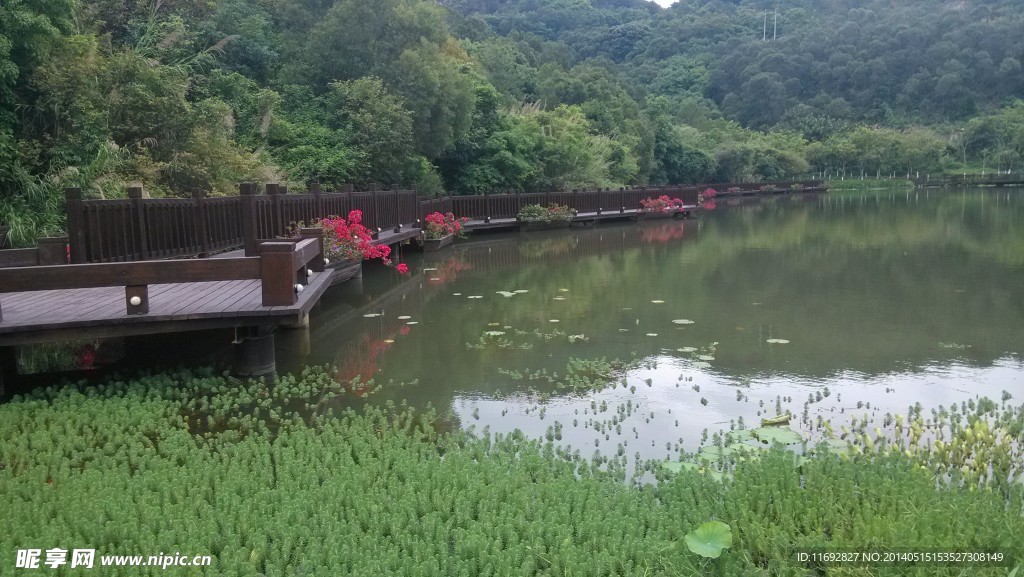 湖边风景