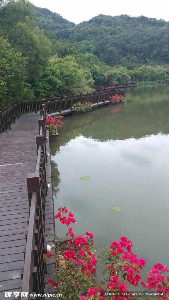 木桥