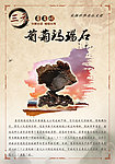 奇石宣传画
