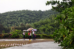 魅力西岛