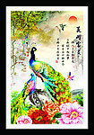 花开富贵孔雀