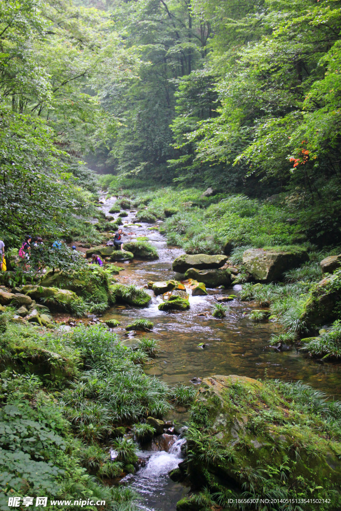 张家界风景