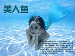 美人鱼