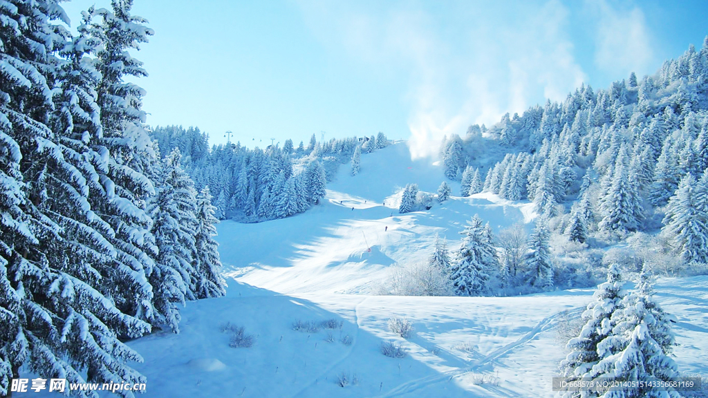 雪景