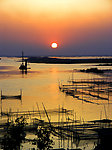 夕阳下的微山湖